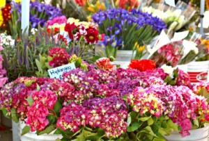 Un bouquet de fleurs offert. Camblanes-et-Meynac